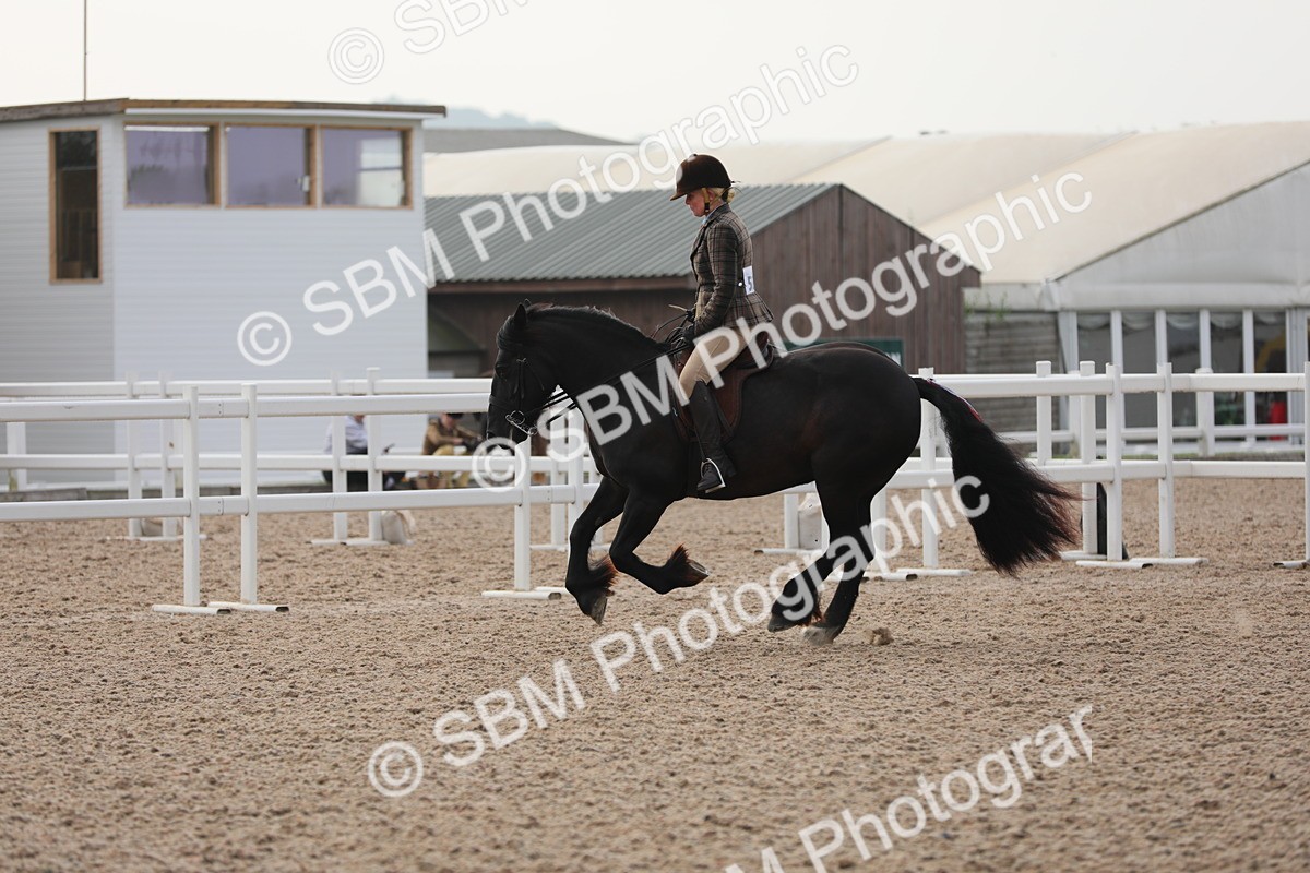 SBM_10057 - Class 302 Ridden M&M -Large Breeds