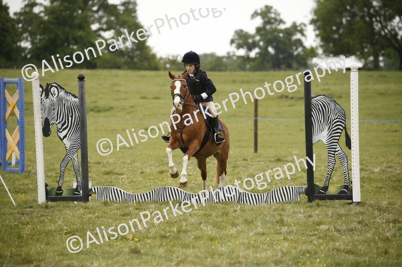 20250517-0777 - Class 2 - 30cm Off Lead Rein