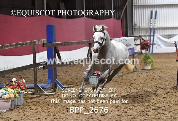 BPP_2676 - LOOSE JUMPING / SPSS