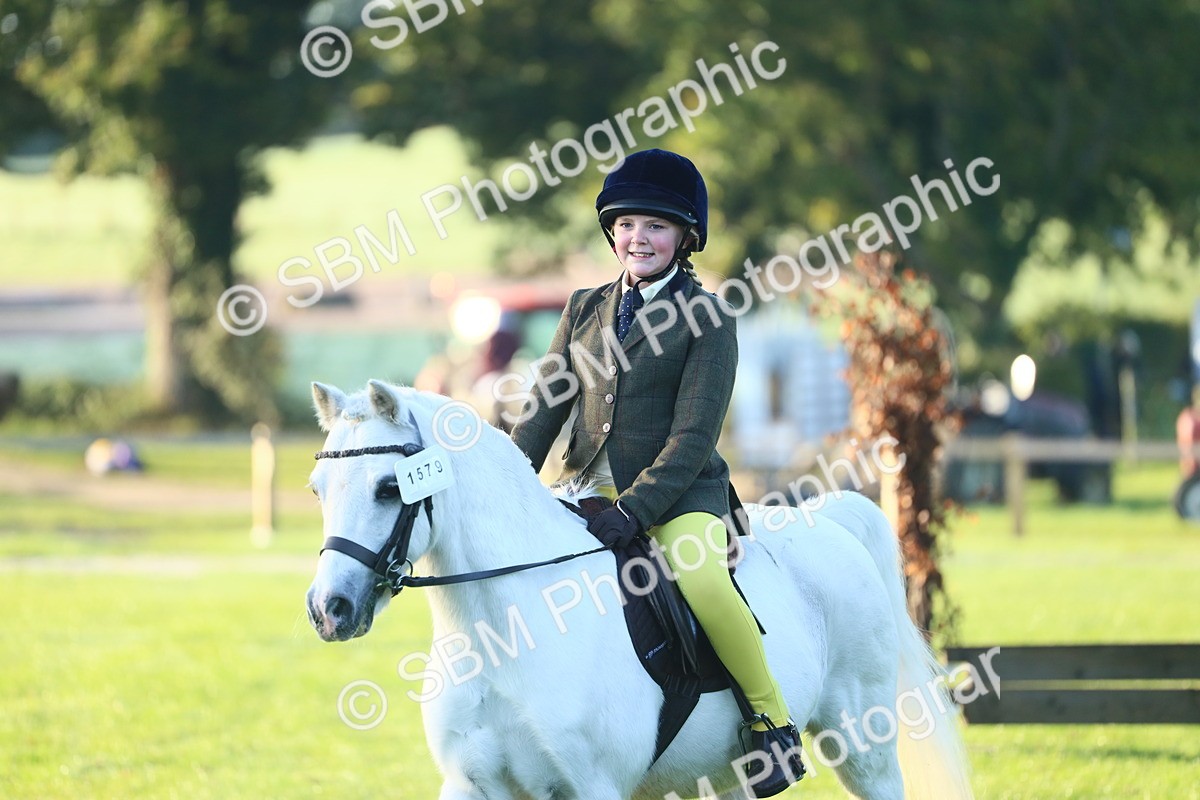SBM_31754 - S28 - Nursery Stakes Working Hunter Pony