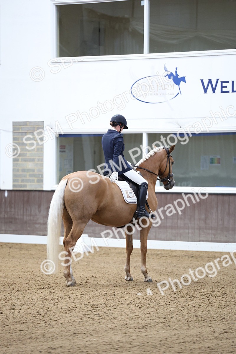 SBM_002079 - Class 5 - Novice 6 Gold - 9.00-10.10