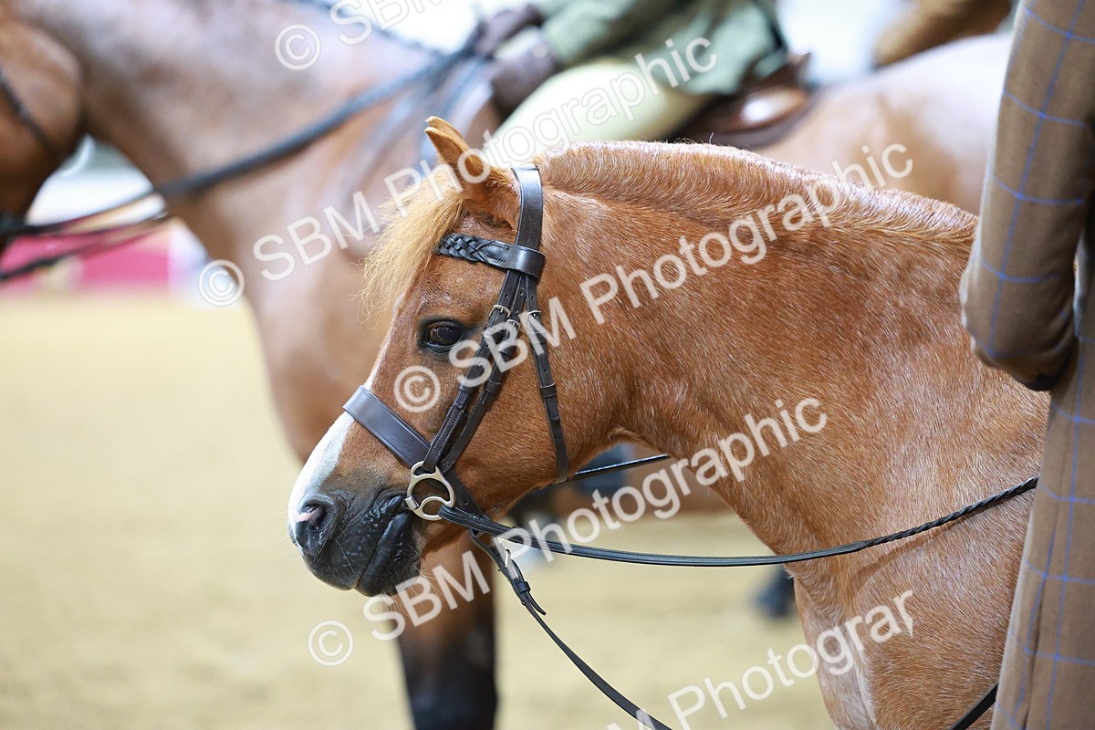 SBM_09482