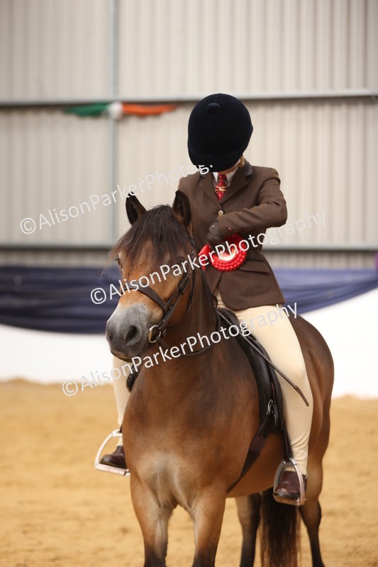 20260913-0664 - Class 126 - Novice Ridden