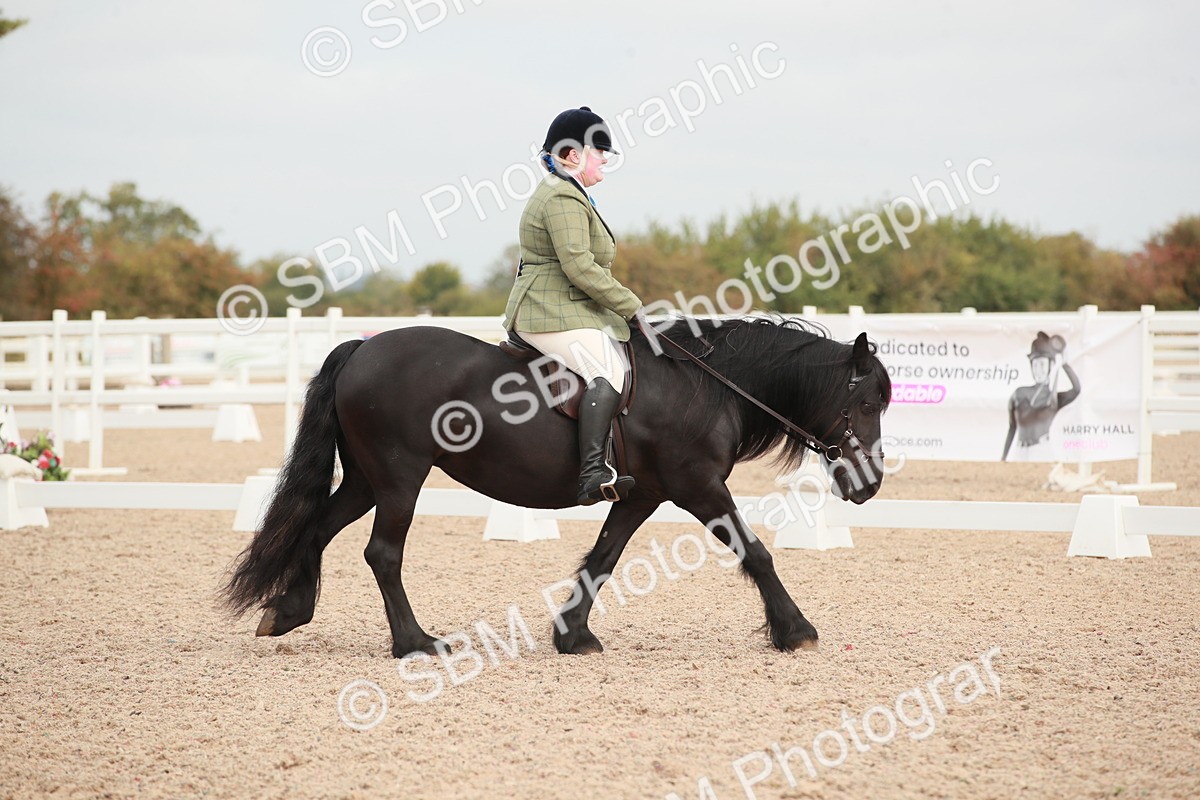 SBM_02551 - Class 30 - Intro 1