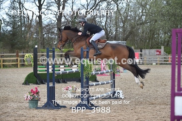 BPP_3988 - CLASS 4 Senior Newcomers/ 1.10m Open