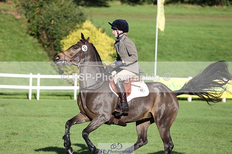 231022-102147-24478 - 629-DP.UK.DUN.SURPRISE-Isla.Kitson-TrotUp+SJ