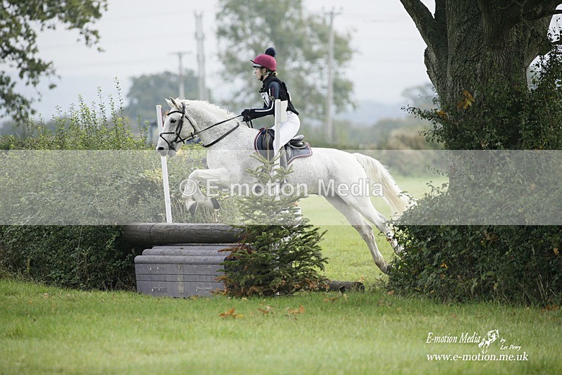  WWHT 171021 0826 - Open Novice (0.80m)  17/10/21