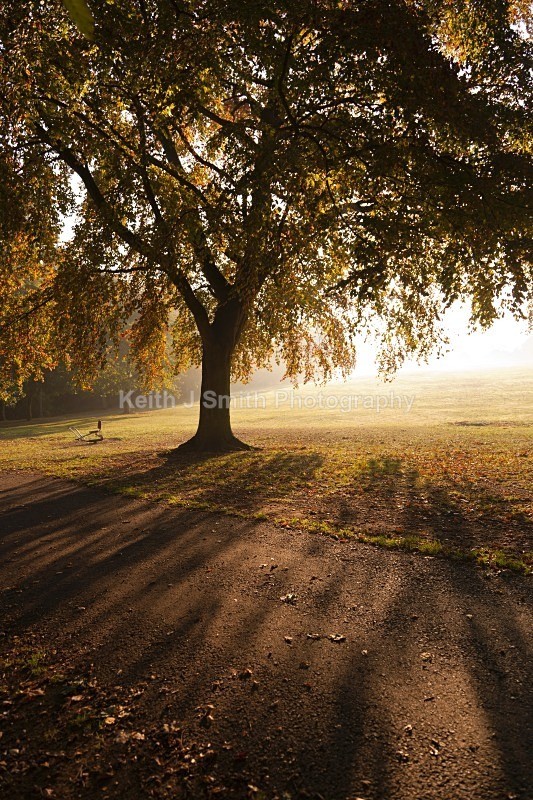 YR6M2600 (RM) - Abington Park & Northampton Town.