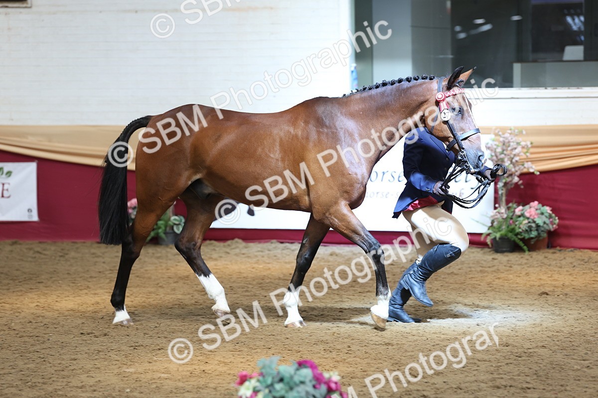 SBM_23578 - Class 904 - Supreme Final - Ridden Diamond