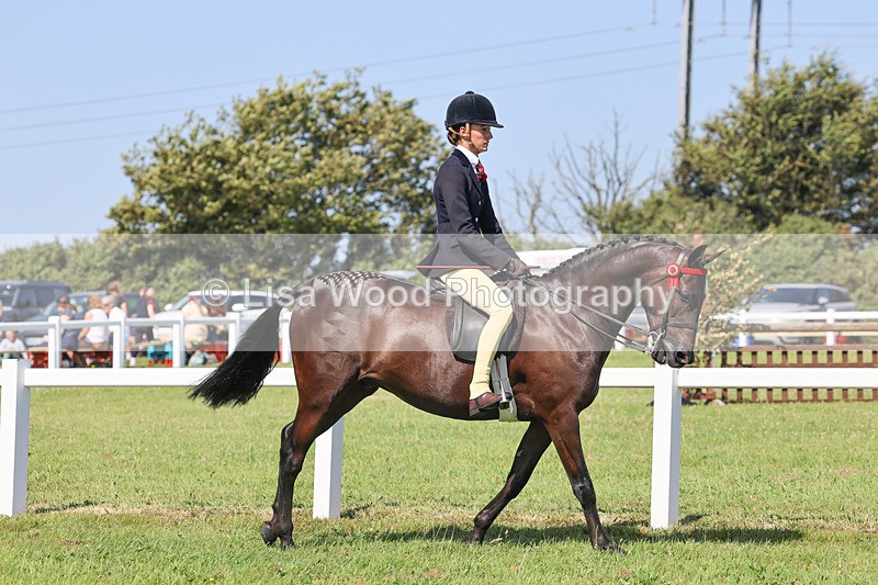 IMG_1892 - Class 33: Show Pony 148cm and under