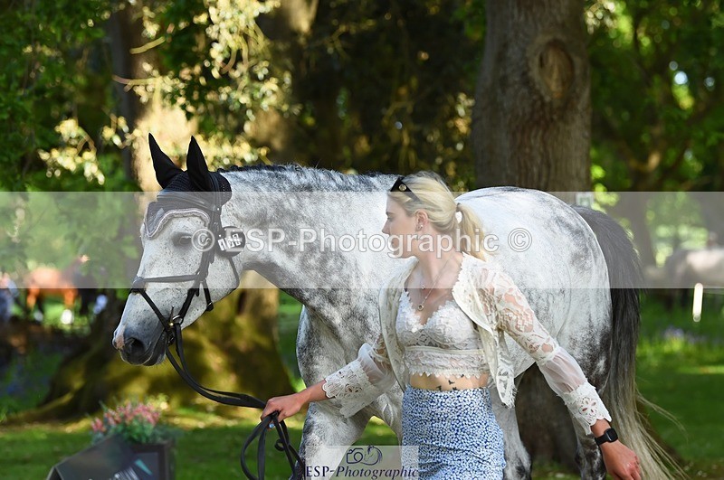 230524-165958-01229 - 167-COR_Y_TARAN-Toots_Bartlett-WEDTrotUp+DR