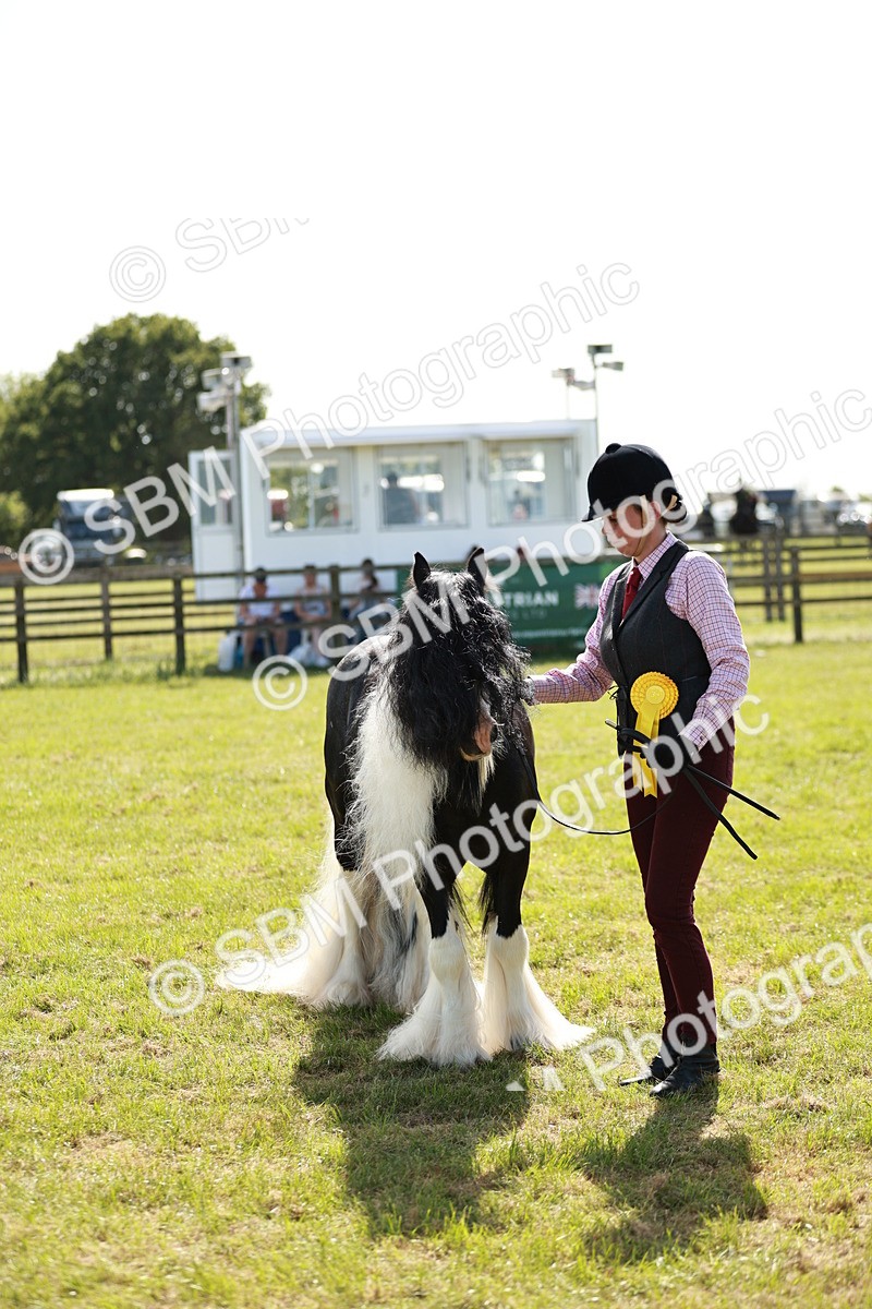 SBM_08922 - Class 63-65 - Traditional Gypsy Cobs In Hand & Ridden