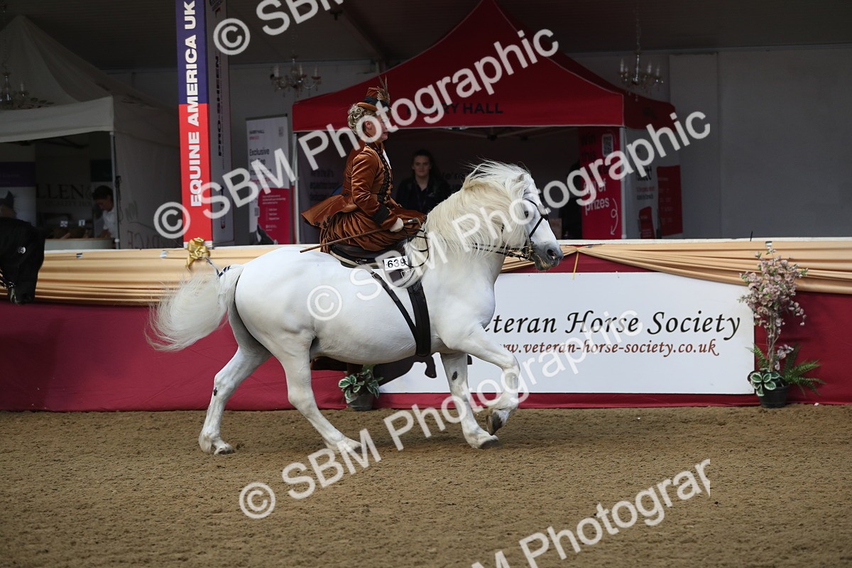 SBM_11562 - Class 105 Ridden Costume- Side Saddle