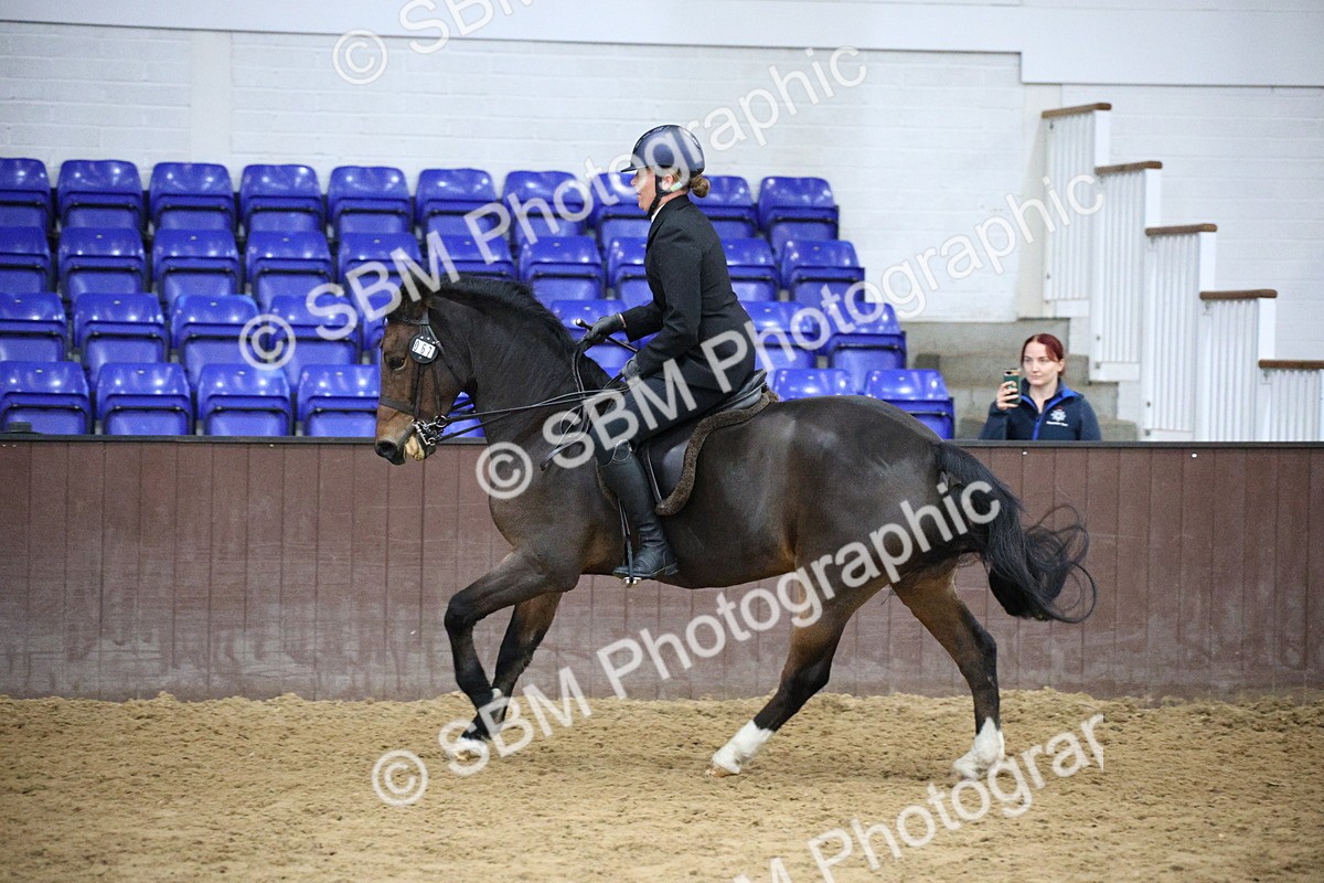 5K7A6096 - Class 48 - Ridden Mare