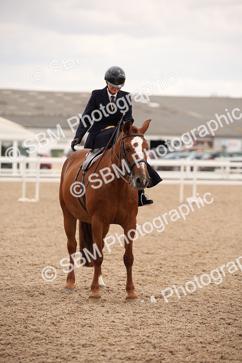 SBM_05478 - Class 22 SSA Equitation