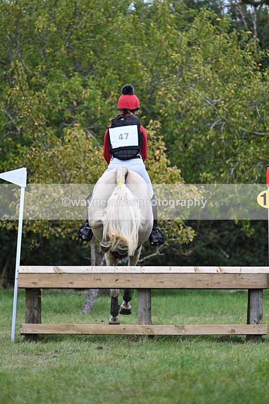 WJ7_8414 - 80cm XC Time 15:45 to 16:02