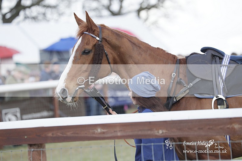 PtP 180323 787 - Shelfield Park Races with Croome & West Warwickshire Hunt  18/03/23