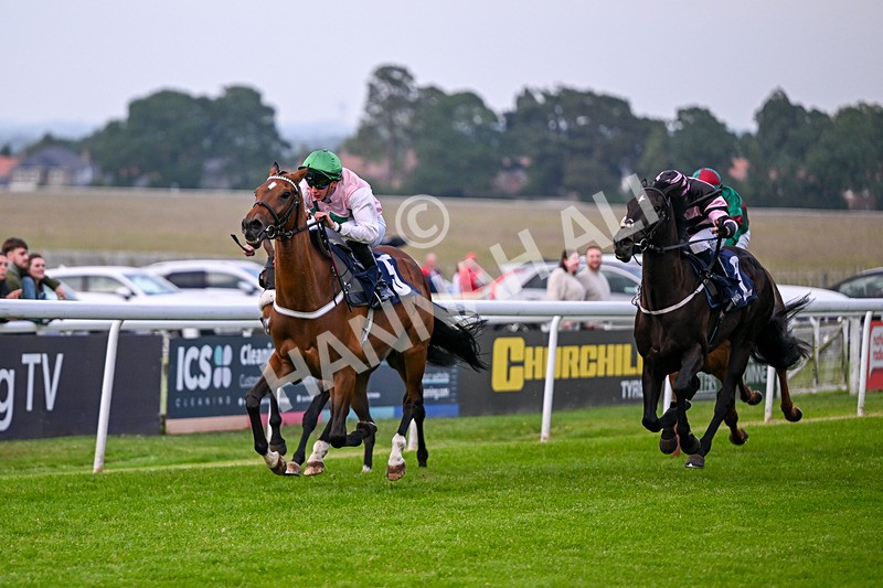 160626-Race 5-Anificas Beauty-5215 - Race 5 20.30pm Churchill Tyres Handicap