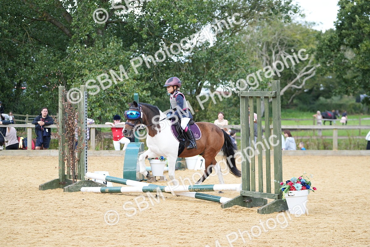 SBM_64433 - J2 - Mini Tour Junior Pony 30cm Championship