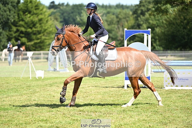 250704A-104500-07051 - Cls 25 Snr British Novice and 90cm