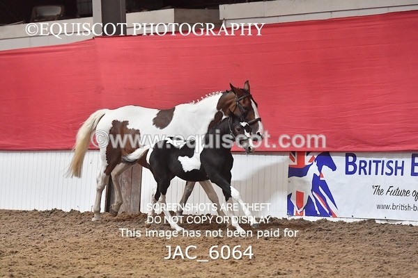 JAC_6064 - 16 Serendipity