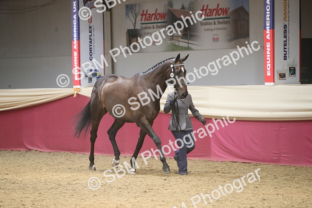 SBM_05476 - Class 9R - Regional IH Pre-Vet