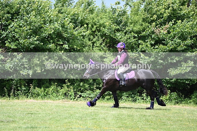 WJ6_3329 - Class 4 60cm