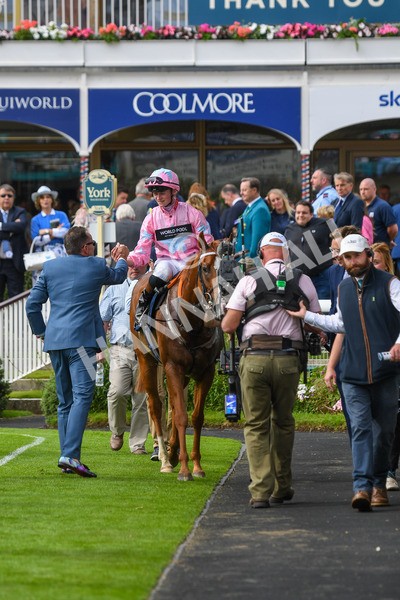 250823-Race 4-Live In The Dream-0717 - Race 4 3.35pm Coolmore Wootton Bassett Nunthorpe Stakes