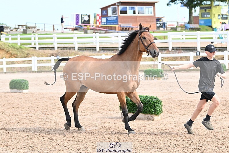 240717A-165749-03575 - Trot Up 4pm to 5pm