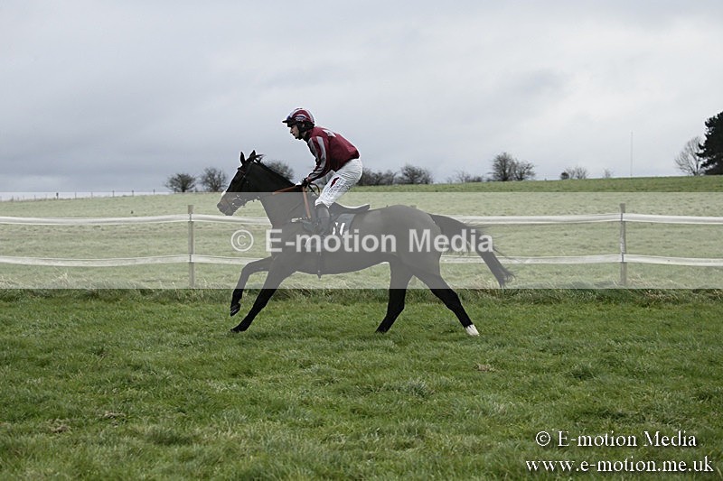 PtP 031217 218 - Hursley Hambledon Point-to-Point Larkhill 03/12/17