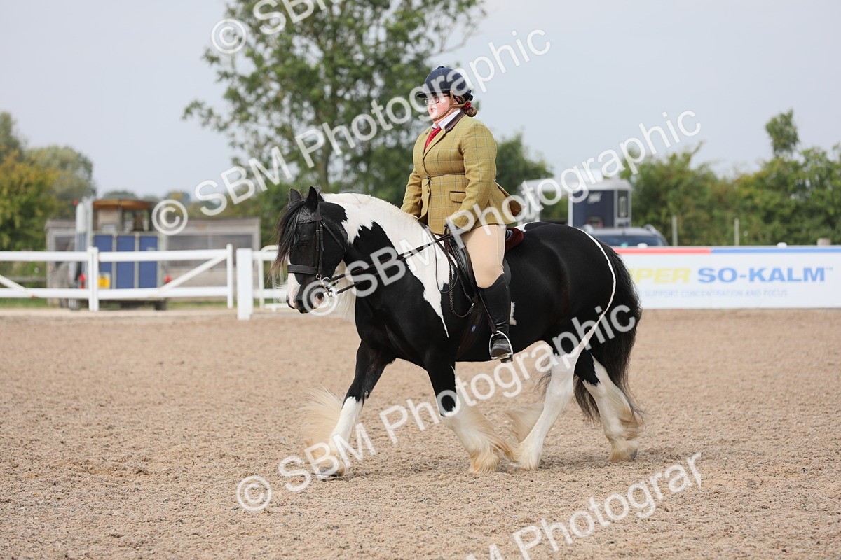 SBM_12701 - Class 307 Ridden Coloured Pony