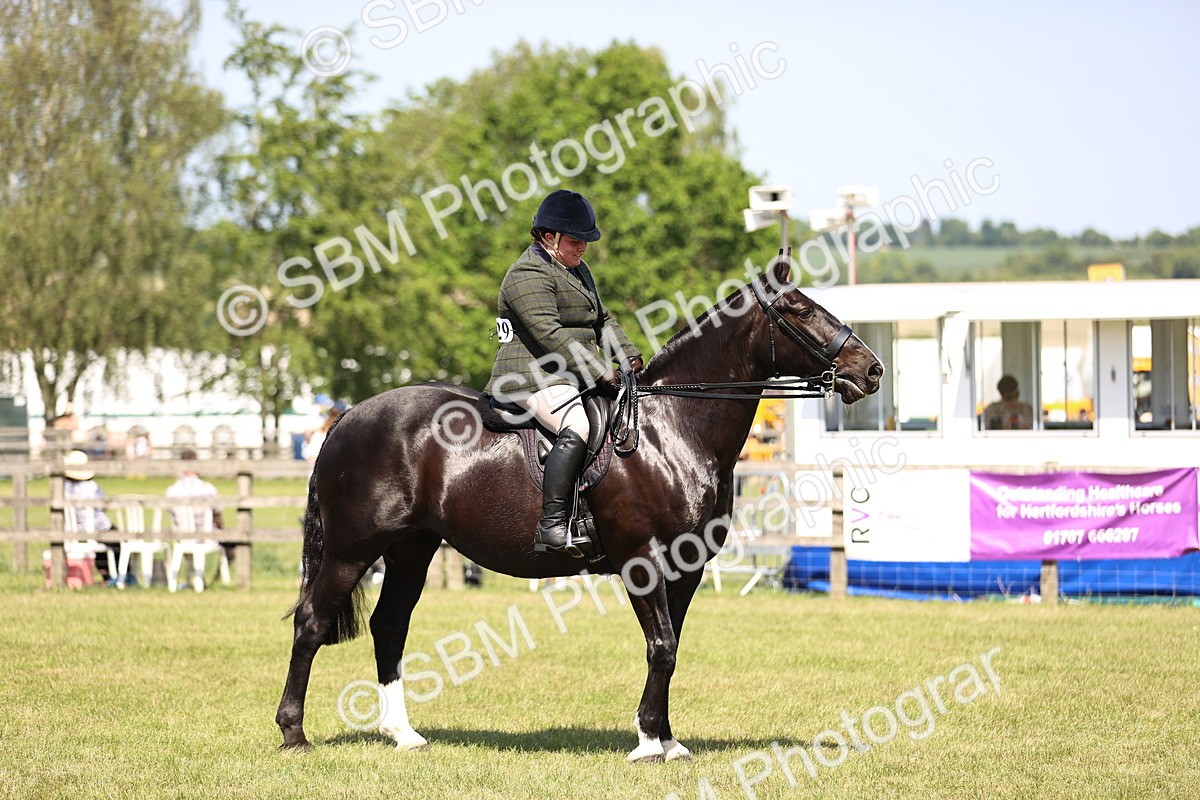 SBM_17915 - Class 81-83 - TSR Ridden Amateur of the Year - Horses