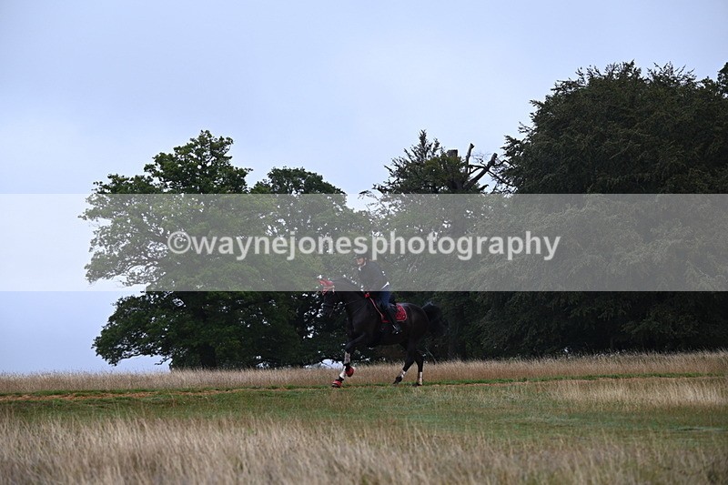 DSC_1691 - Time at Statue 12:13 to 12:32