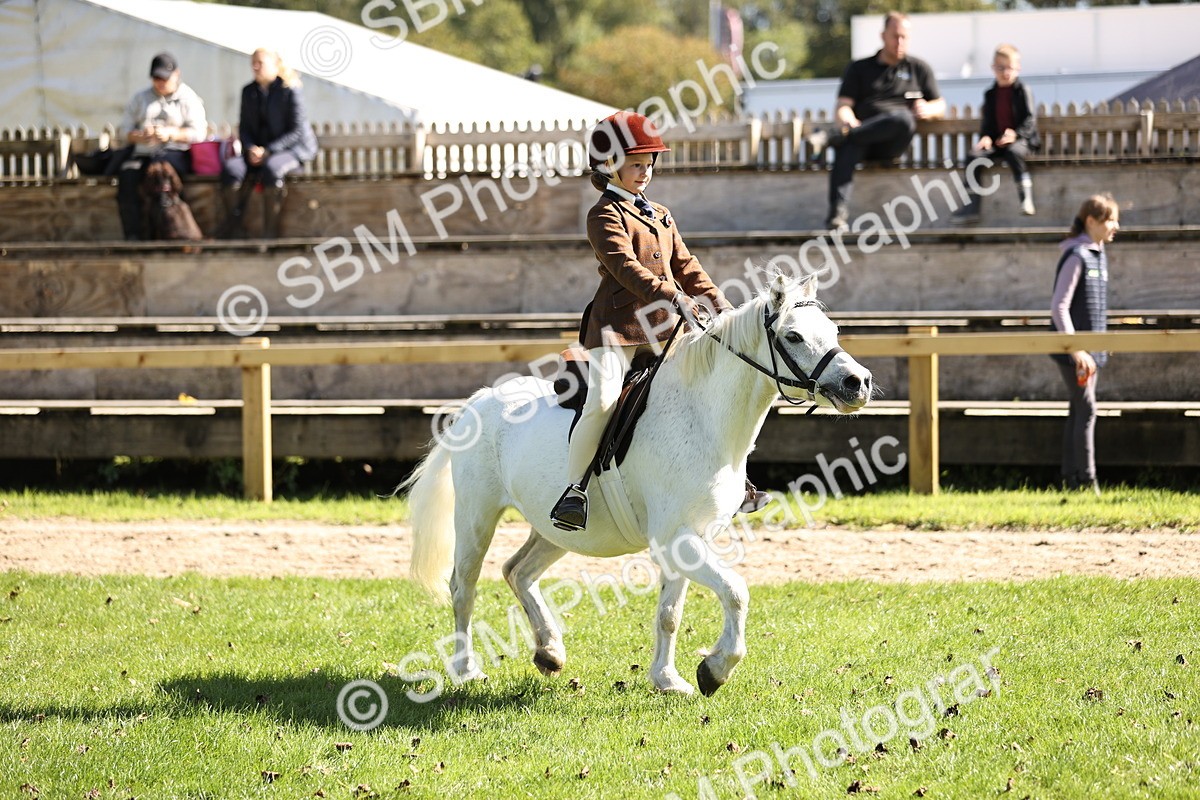 SBM_19349 - S3 - TSR Ridden Pony Showing