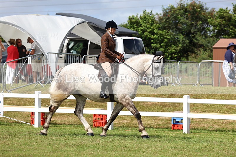 3E7A0166 - Class 6: Rising Star Maxi Cobs