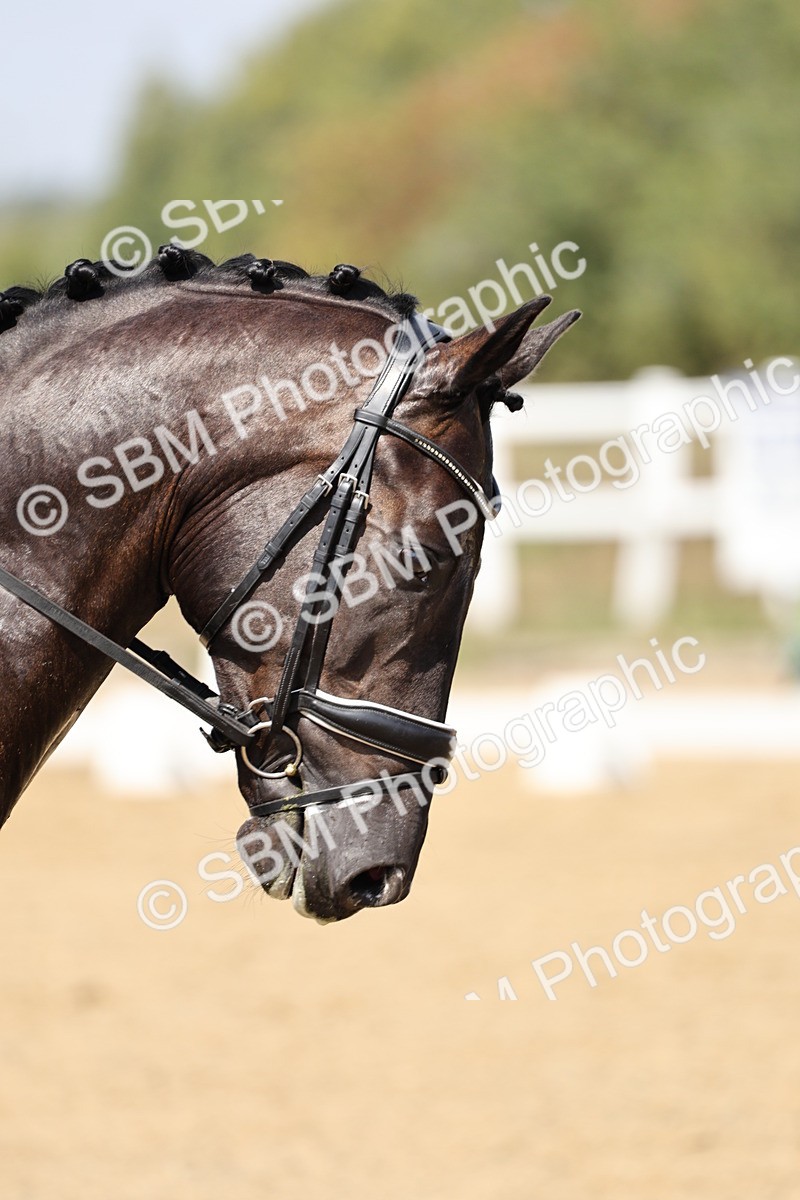 SBM_018626 - Class 16 - Novice 5 - 12.08-13.11