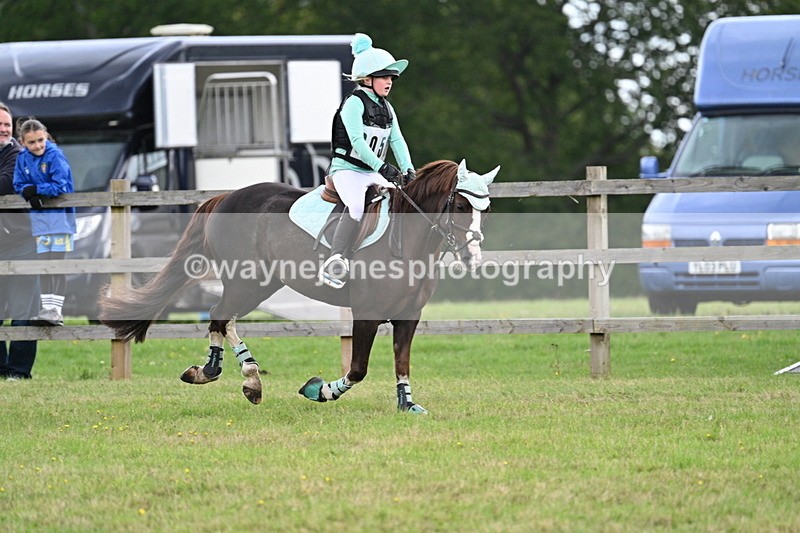 WJ7_8355 - 60cm Time 12:11 to 12:30