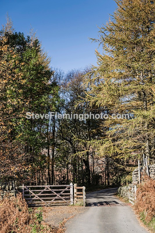 L1040255 - Blea Tarn climb
