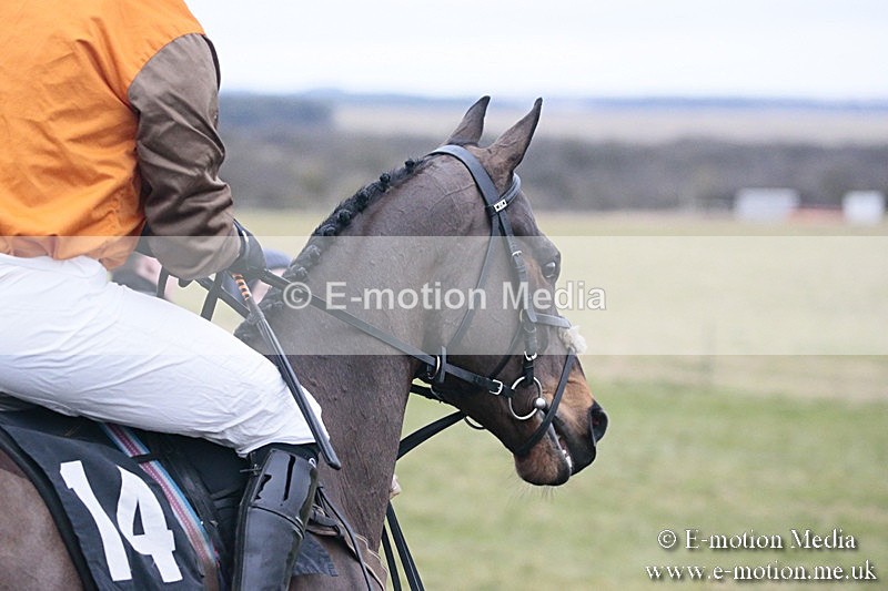 PtP 180218 822 - Combined Services Point-to-Point Larkhill 18/02/18