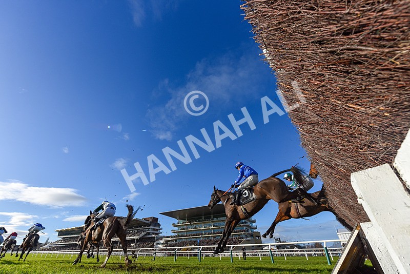 141224-Race 3-Malaita-9364 - Race 3