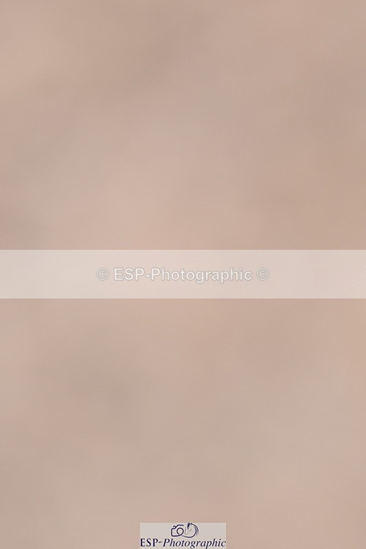 240628A-170817-01628 - Cls 5 Stepping Stones 128cm + 138cm