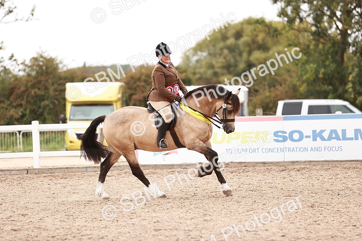 SBM_19096 - Class 422 - Ridden M&M