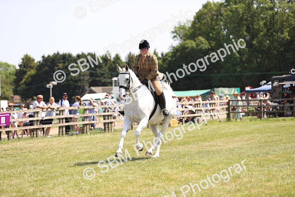 SBM_16120 - Class 79-80 - LIHS BSHA Rising Star Ridden Hunter