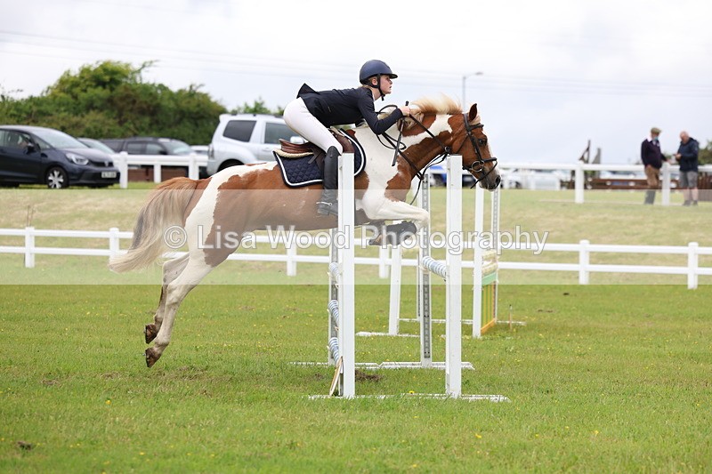 3E7A6710 - Class 10: Pony Newcomers/1m open