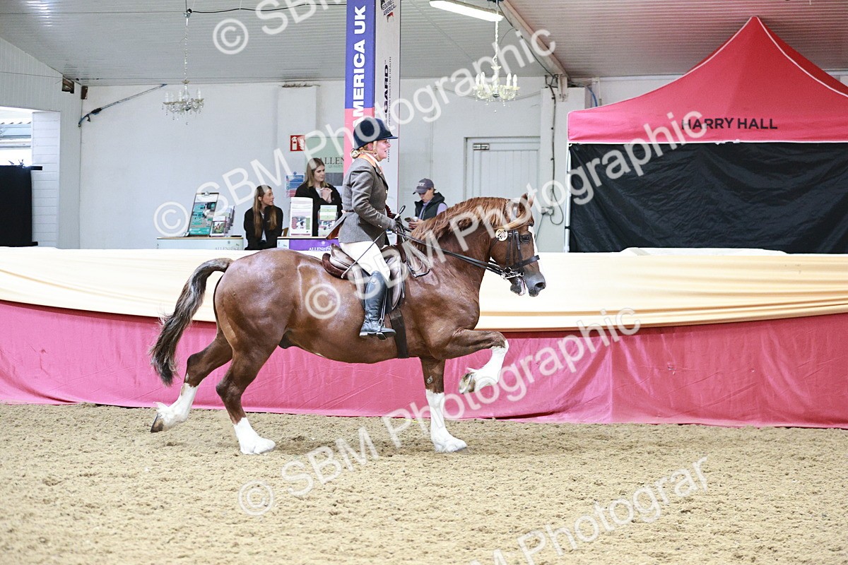 SBM_09157 - Class 12R - Regional Ridden Pre-Vet