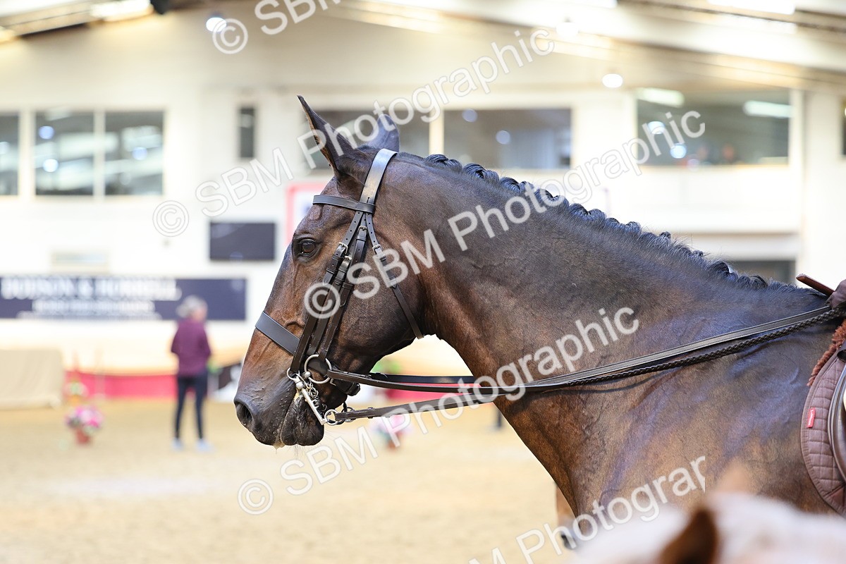 SBM_23957 - Class 905 - Supreme Final - Ridden Veteran
