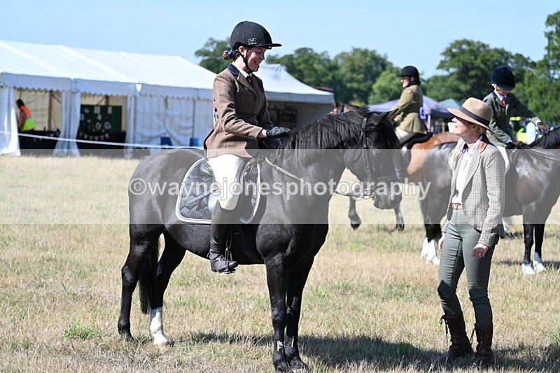WJ7_3777 - Class 9 Mountain & Moorland Ridden