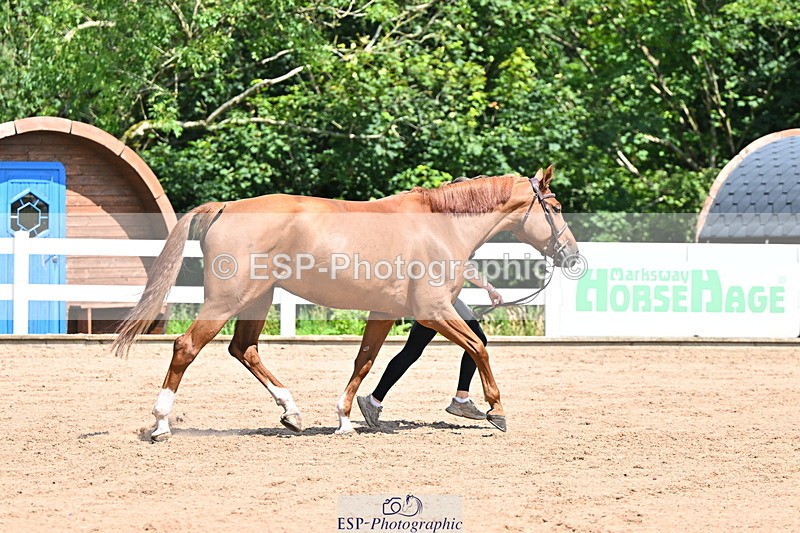 240718A-105245-01111 - Trot Up 12pm to 1pm