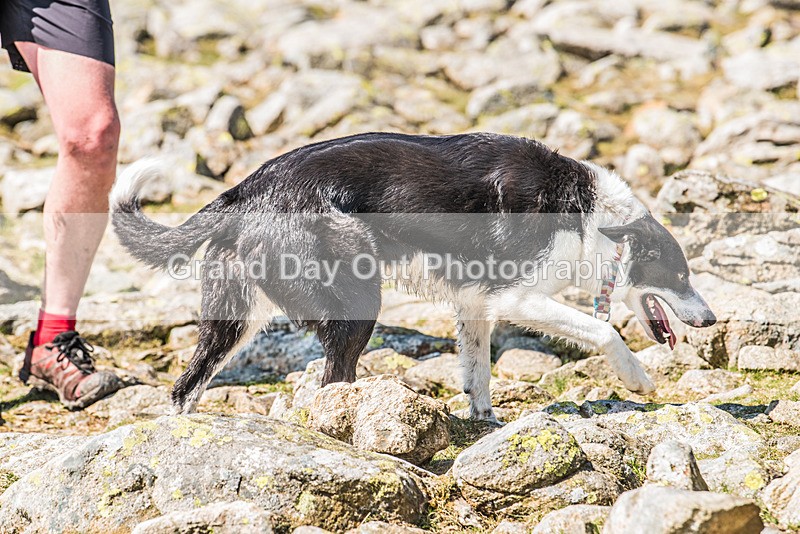 Fairfield-5 - Fairfield Horseshoe Fell Race Saturday 13th May 2023