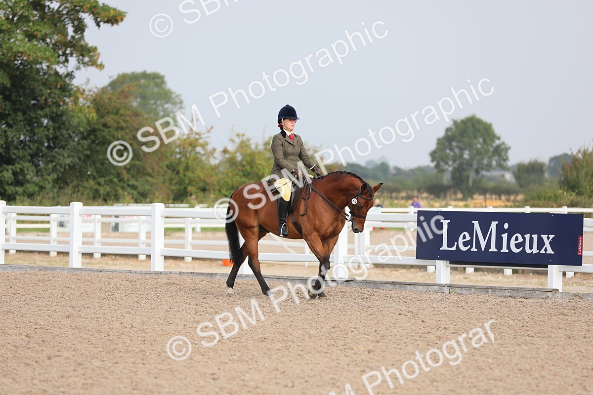SBM_10852 - Class 304 Ridden Part Bred Horse/Pony